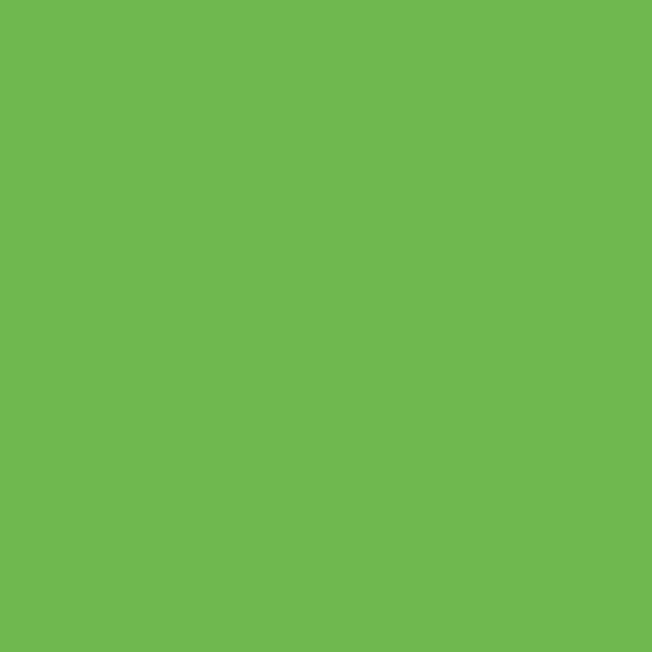 Matte Apple Green design color swatch