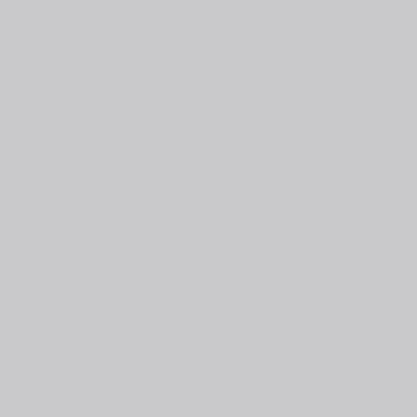 Matte Silver design color swatch